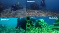 Kembalikan Keindahan Bahari Sulsel, DKP Rehabilitasi Terumbu Karang Pulau Salebbo Pangkep