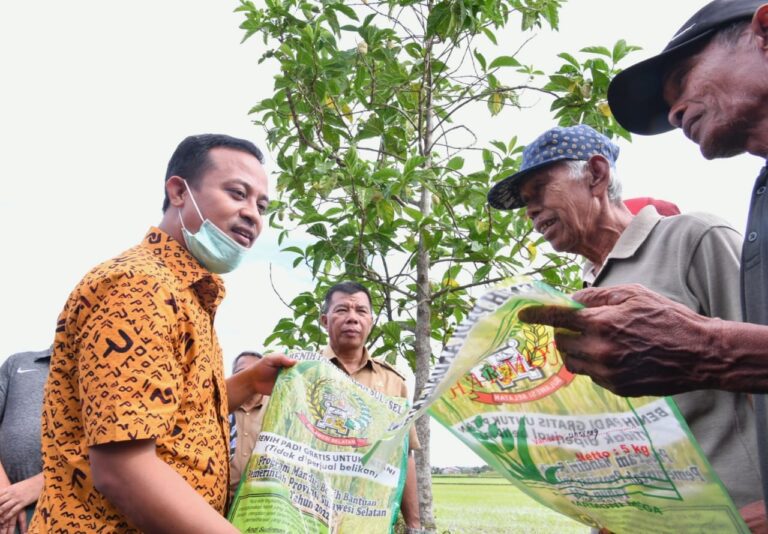 Pemprov Sulsel Salurkan Bantuan 1,2 juta kg Benih untuk Lahan 48 ribu Ha 4 Gubernur Sulsel Salurkan Bantuan 1,2 juta kg Benih untuk Lahan 48 ribu Ha