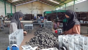 Arang Kelapa yang Dulu Tidak Dimanfaatkan, Kini Bernilai Miliaran Rupiah