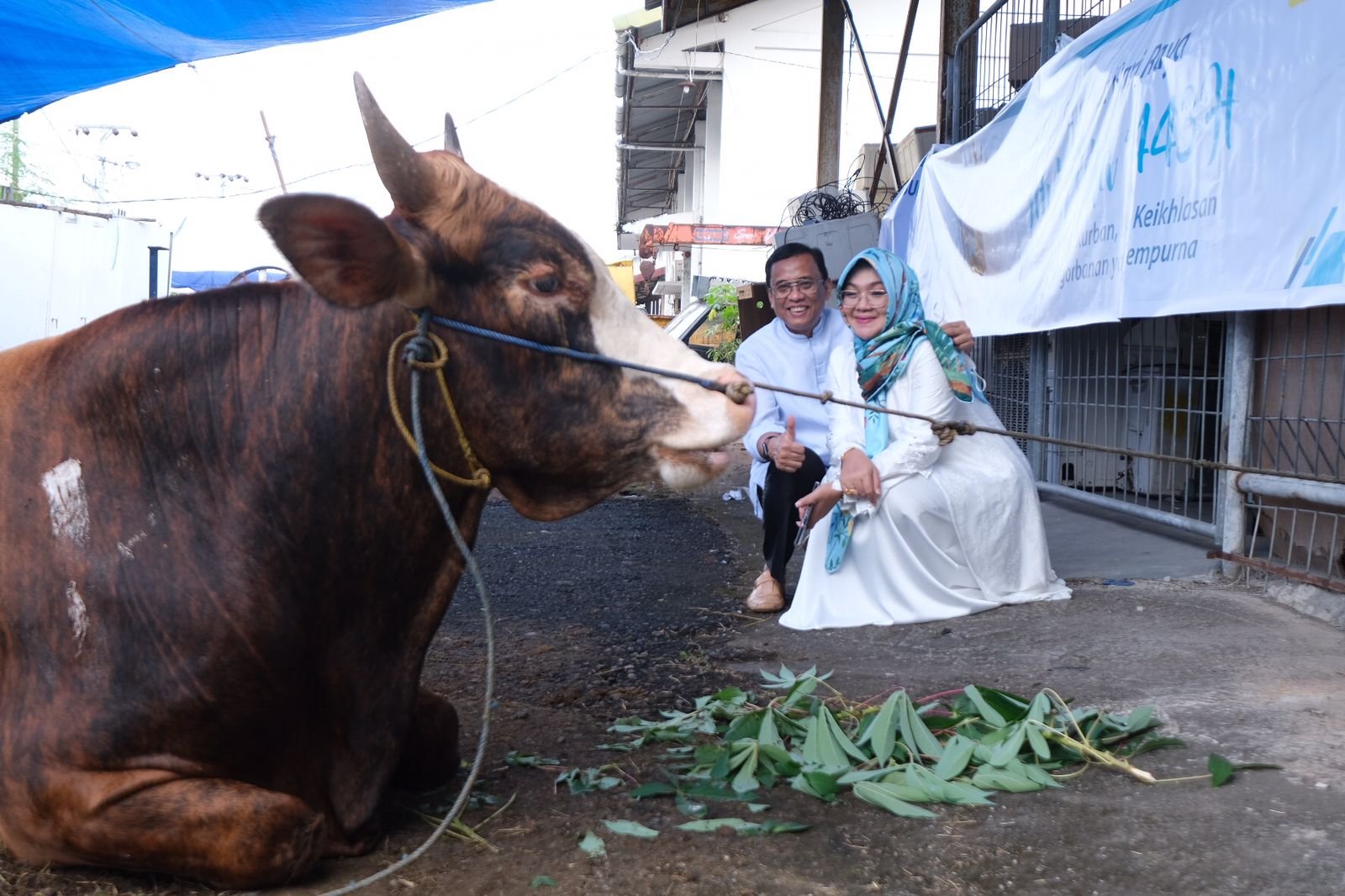 Idul Adha 1443H: PLN UIW Sulselrabar Sembelih 85 Ekor Hewan Kurban