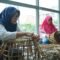 Dukung Srikandi UMKM, PLN Gelar Pelatihan dan Pengembangan Enceng Gondok bagi Kelompok Usaha Wanita Bunga Eja Craft