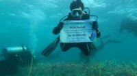 PLN Kembali Hadirkan Bantuan Guna Lestarikan Surga Bawah Laut di Selat Makassar