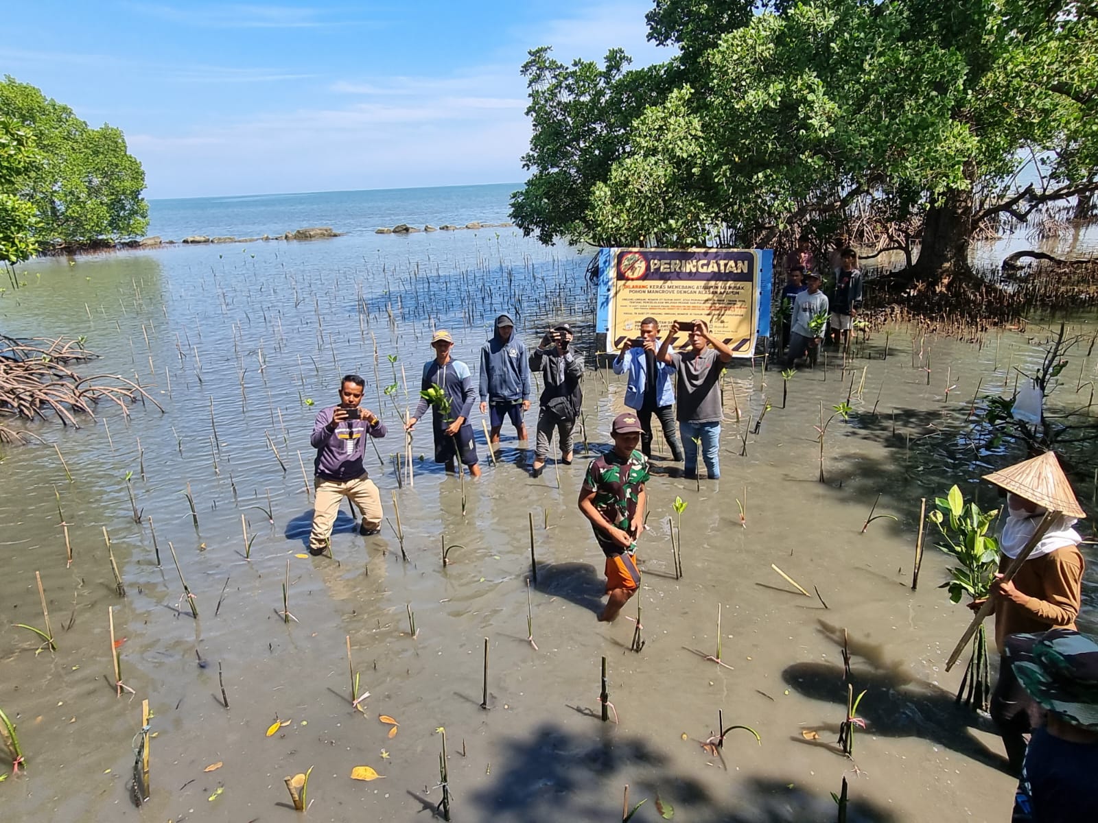 Komitmen Gubernur Sulsel Lestarikan Ekosistem Mangrove, 38 Ribu Batang Ditanam di Maros