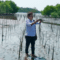 38 Ribu Batang Mangrove Ditanam Dinas Kelautan dan Perikanan Sulsel di Lutim