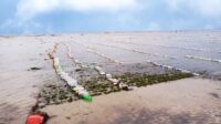 Wisata Bahari Kitesurfing di Pantai Mallosoro Jeneponto Terancam Tutup