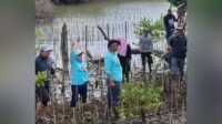 Jaga Kawasan Pesisir, 38 Ribu Batang Mangrove Ditanam di Kab.Bone