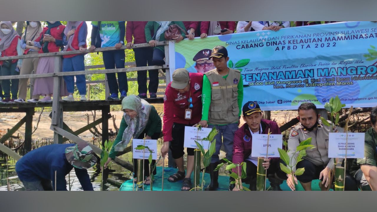 Komitmen Gubernur Sulsel Lestarikan Ekosistem Mangrove, 38 Ribu Batang Ditanam di Maros