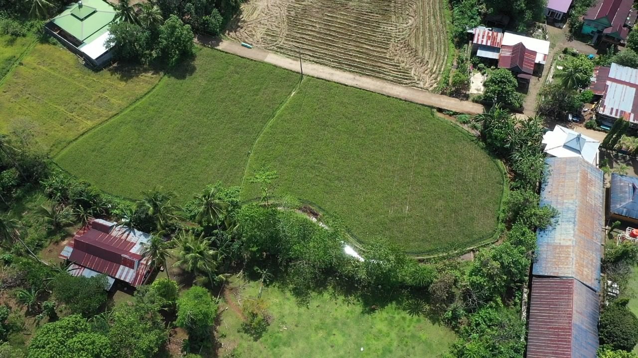 Petani di Maros Bisa Panen Padi 8 Ton Berkat Mandiri Benih