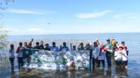 Rawat Ekosistem, CDK Bosowasi Tanam 38 Ribu Batang Mangrove di Pancaitana Bone