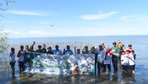 Rawat Ekosistem, CDK Bosowasi Tanam 38 Ribu Batang Mangrove di Pancaitana Bone