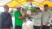 Kembalikan Kejayaan Udang Windu, DKP Maksimalkan Diseminasi 15 Daerah di Sulsel