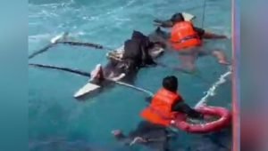 Kapal KM STB 14 Selamatkan Warga Gowa yang Terapung 10 Hari di Selat Makassar