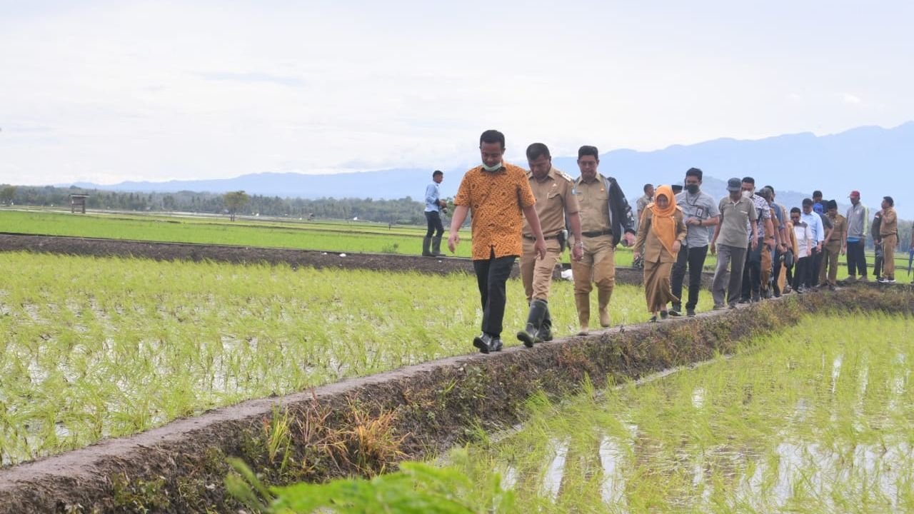 Hingga September Suplai Beras 120 Ribu Ton, Beras asal Sulsel Pemasok Terbesar di Indonesia
