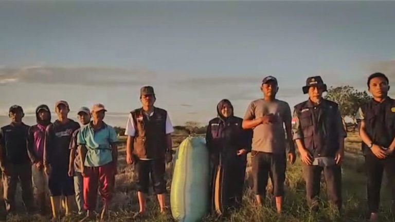 Berkat Mandiri Benih Produk Padi Petani Desa Ujung Tanah di Wajo Meningkat