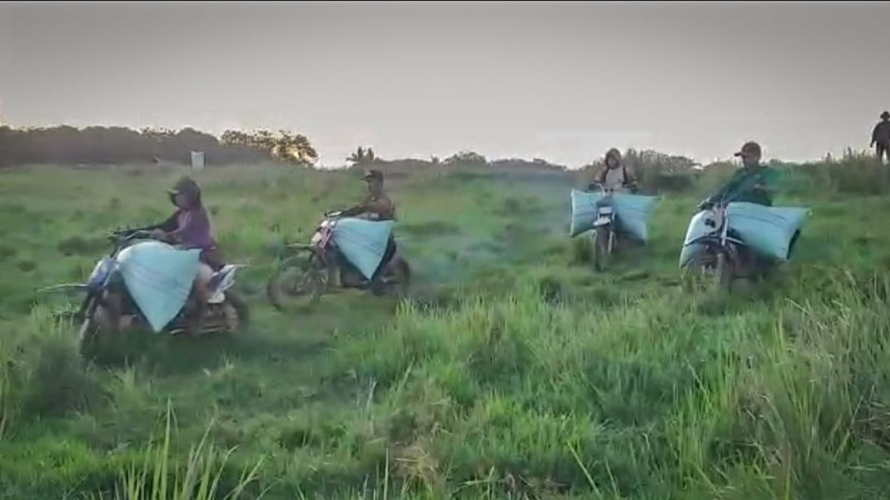 Berkat Mandiri Benih Produk Padi Petani Desa Ujung Tanah di Wajo Meningkat