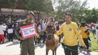 Gubernur Serahkan Hadiah Kuda Anti Mager Jeneponto Diraih Satpol PP