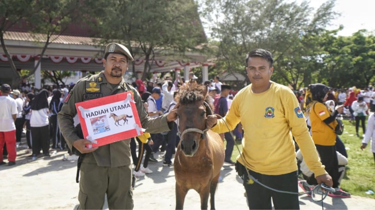 Gubernur Serahkan Hadiah Kuda Anti Mager Jeneponto Diraih Satpol PP