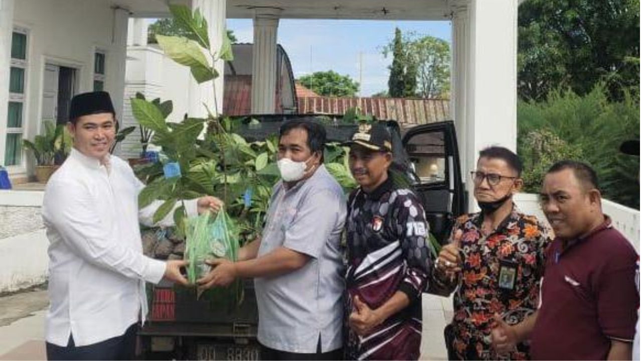 MYL Serahkan 1100 Bibit Sukun di Liukang Tangaya