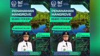 Besok, Gubernur Andi Sudirman Pimpin Penanaman 35.300 Pohon Mangrove