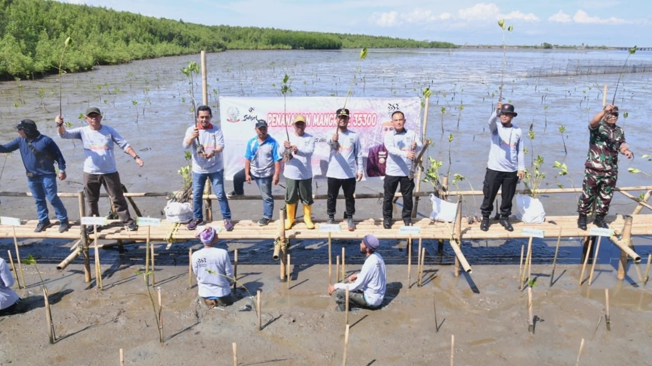 Tanam 35.300 Batang Mangrove, Gubernur Sulsel: Tanam Satu Pohon, Selamatkan Ribuan Makhluk Hidup