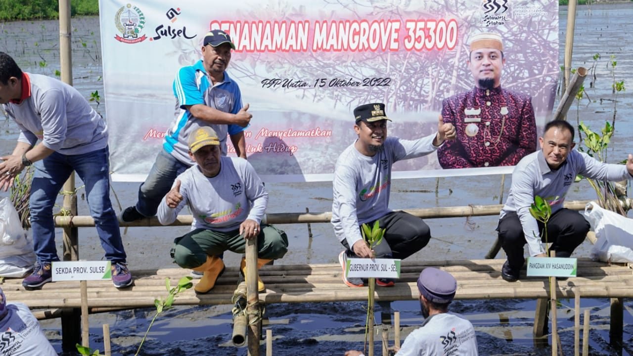 Tanam 35.300 Batang Mangrove, Gubernur Sulsel: Tanam Satu Pohon, Selamatkan Ribuan Makhluk Hidup