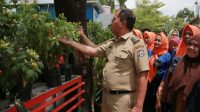 Kunjungi Lorong Wisata Sydney, Danny: Longwis Bangun Kemandirian Ekonomi Rakyat
