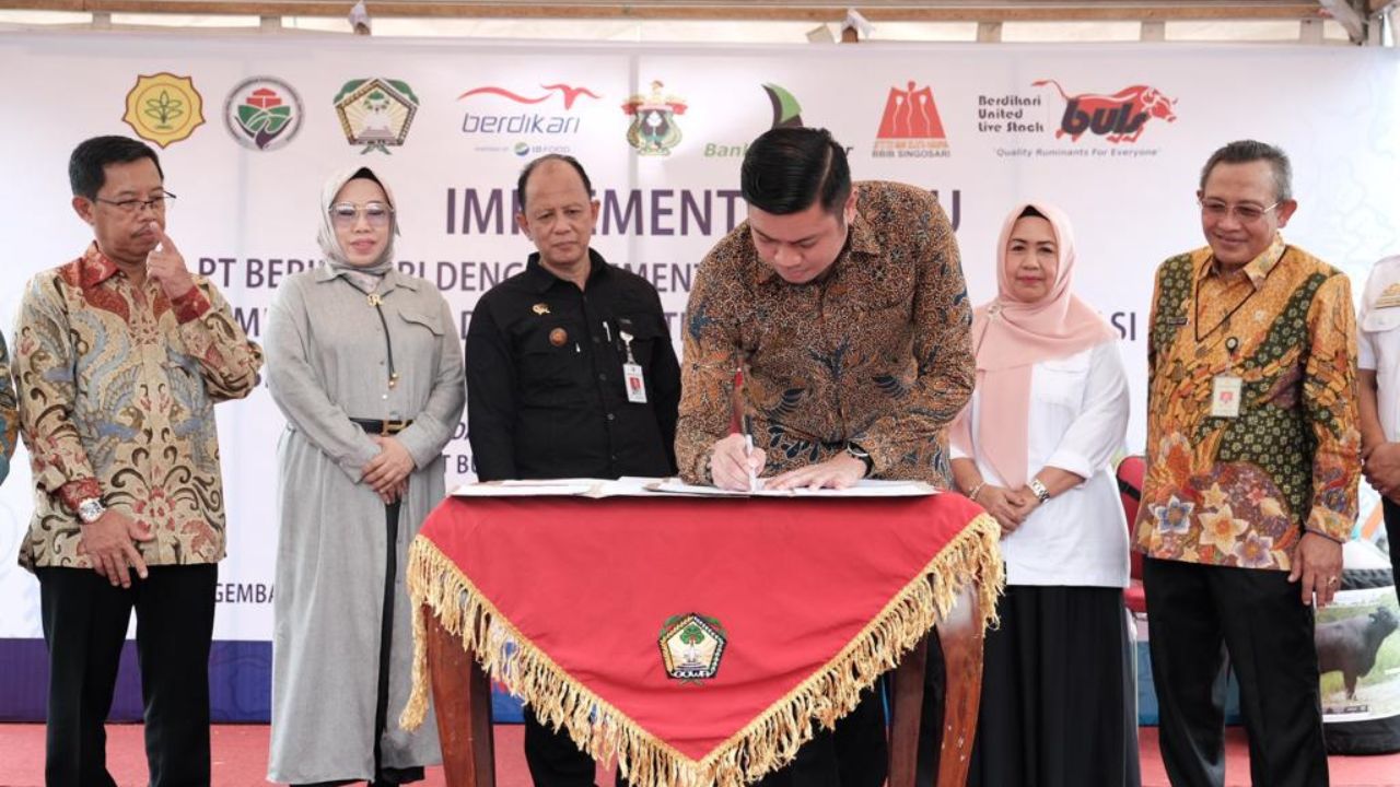 Fokus Tingkatkan Sektor Peternakan, Pemkab Gowa Gagas Pengembangan Sapi Wagyu