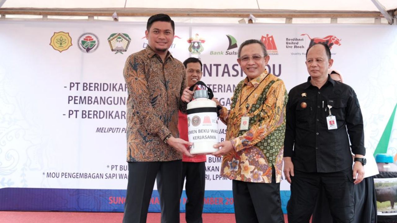 Fokus Tingkatkan Sektor Peternakan, Pemkab Gowa Gagas Pengembangan Sapi Wagyu 2 Fokus Tingkatkan Sektor Peternakan, Pemkab Gowa Gagas Pengembangan Sapi Wagyu
