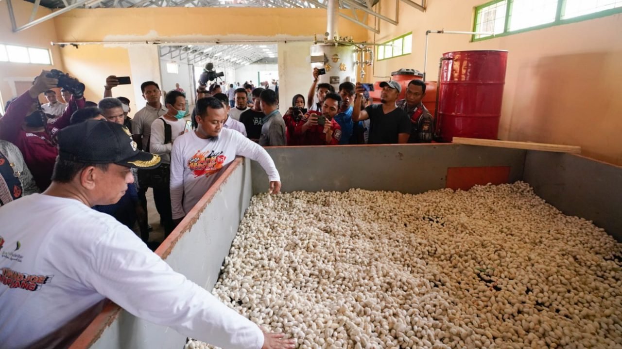 Pengelolaan Sutera Wajo Diresmikan Gubernur, Pelaku Usaha Optimis Kejayaan Industri Persuteraan Bangkit