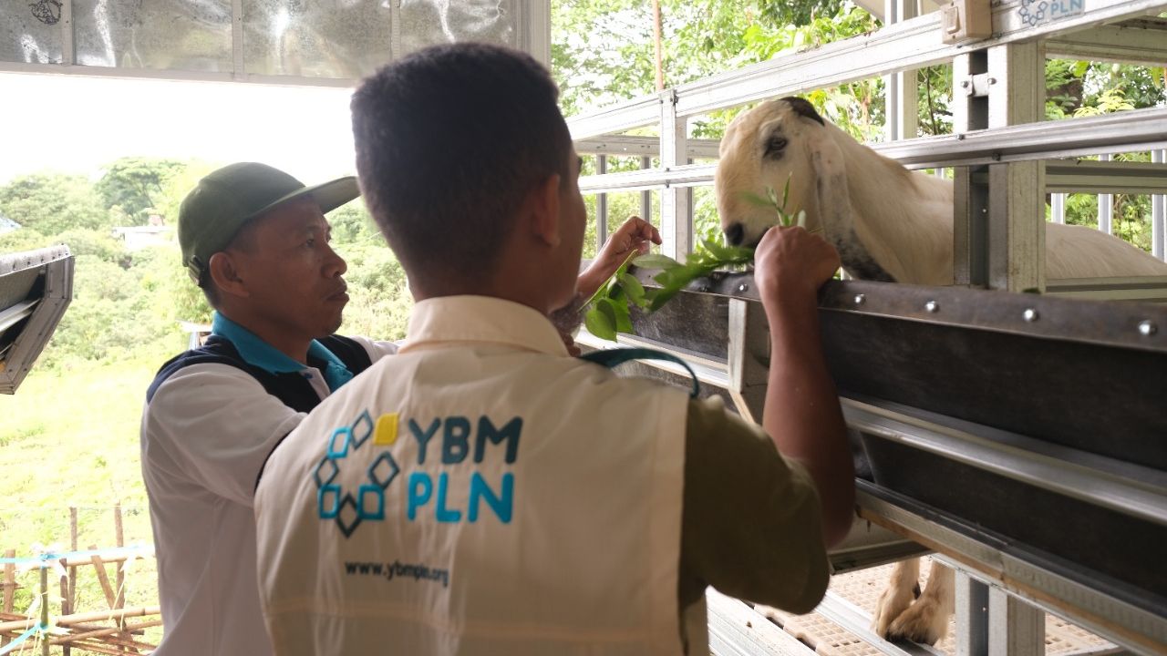 YBM PLN Sulselrabar Resmikan Peternakan Kambing "Pammanjengan Ri Boritta" di Desa Bonto Kassi Gowa