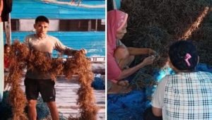 Berkat PLN Peduli, Kapasitas Produksi UMKM ini meningkat dan Mendapatkan Sertifikasi Halal