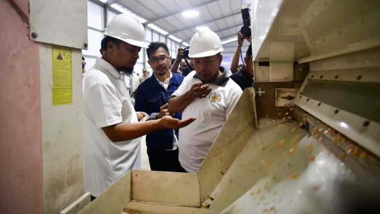 Usai Hadirkan Benih Padi Andalan, Pemprov Sulsel Dorong Mandiri Benih Jagung