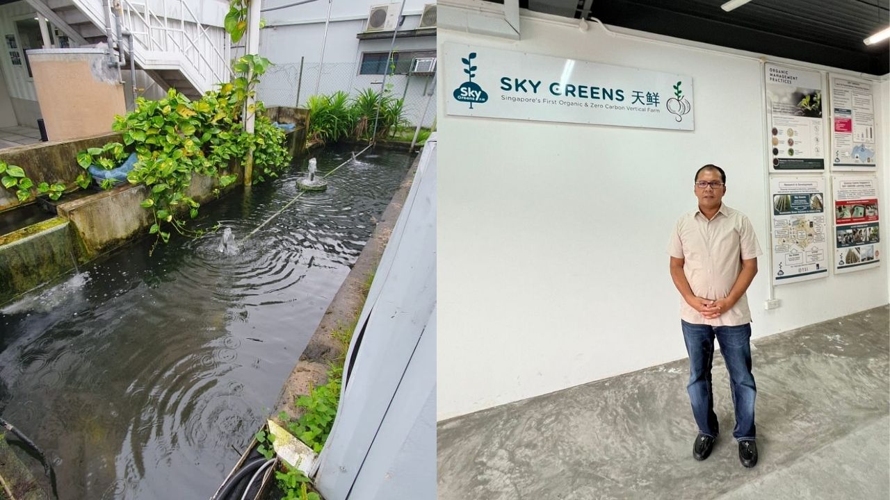 Wali Kota Danny Siapkan Konsep City Farming Sky Greens Singapura untuk Lorong Wisata