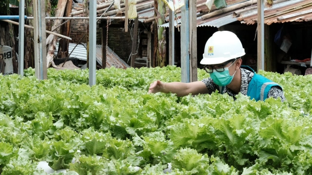 Kaleidoskop 2022, Ini Sederet Terobosan PLN UID Sulselrabar
