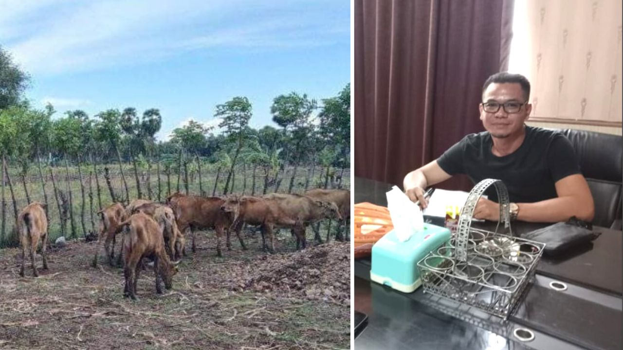 Ketua LPK Sulsel Tanggapi Pernyataan Bupati Jeneponto Soal Bantuan Sapi BPBD