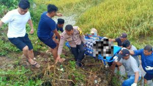 Warga Digegerkan Penemuan Sesosok Mayat di Area Persawahan di Labakkang Pangkep