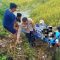 Warga Digegerkan Penemuan Sesosok Mayat di Area Persawahan di Labakkang Pangkep