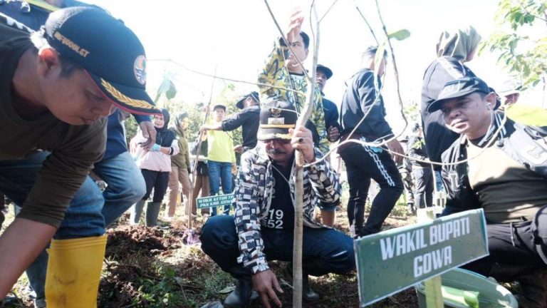 Sasar Lahan Kritis, Pemkab Gowa Kembali Tanam 4.000 Bibit Pohon di Tombolopao 3 Sasar Lahan Kritis, Pemkab Gowa Kembali Tanam 4.000 Bibit Pohon di Tombolopao
