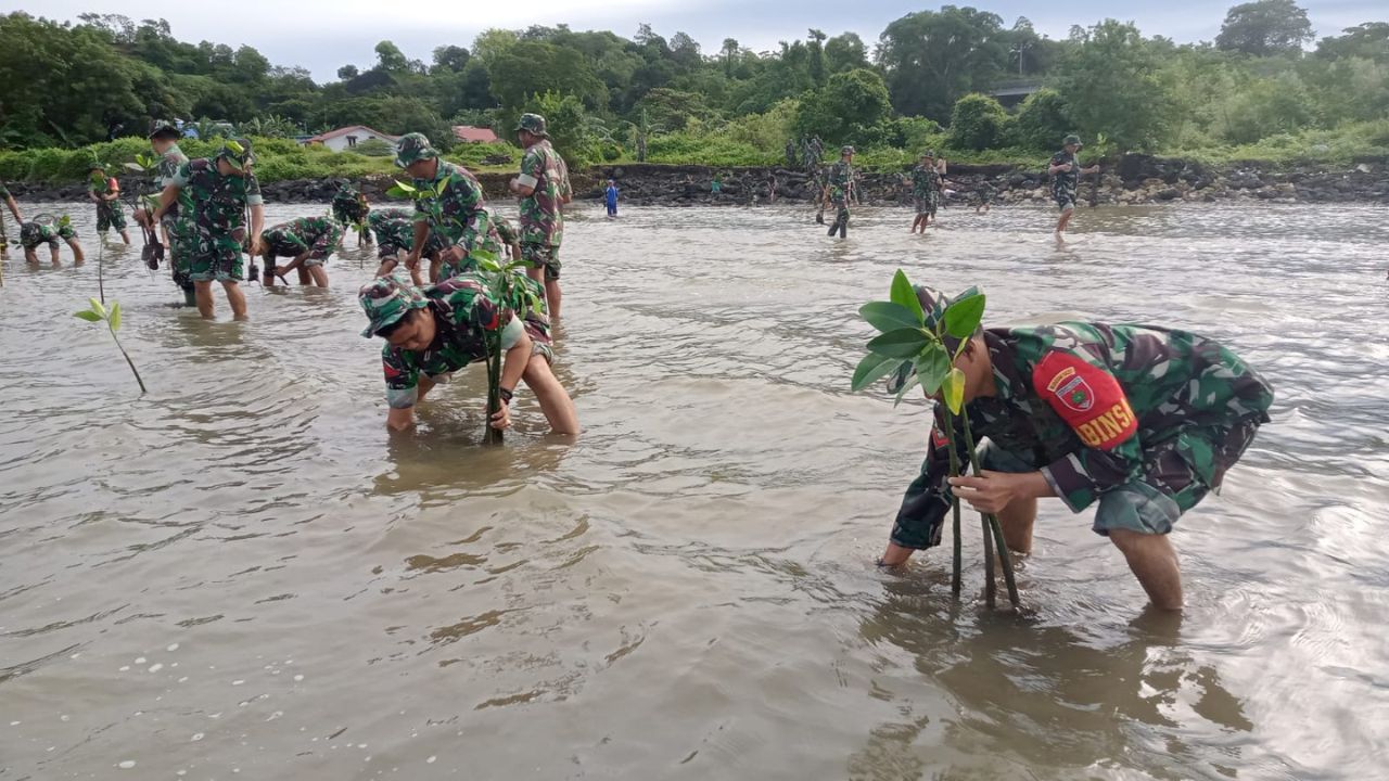 Kodim 1421 Pangkep: 200 Pohon Mangrove ditanam di Pesisir Pantai Mandalle 2 Kodim 1421 Pangkep: 200 Pohon Mangrove ditanam di Pesisir Pantai Mandalle
