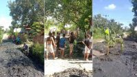 Tak Ada Perhatian Pemerintah, Warga Kalakkara Jeneponto Tanam Pohon di Tengah Jalan Rusak Parah