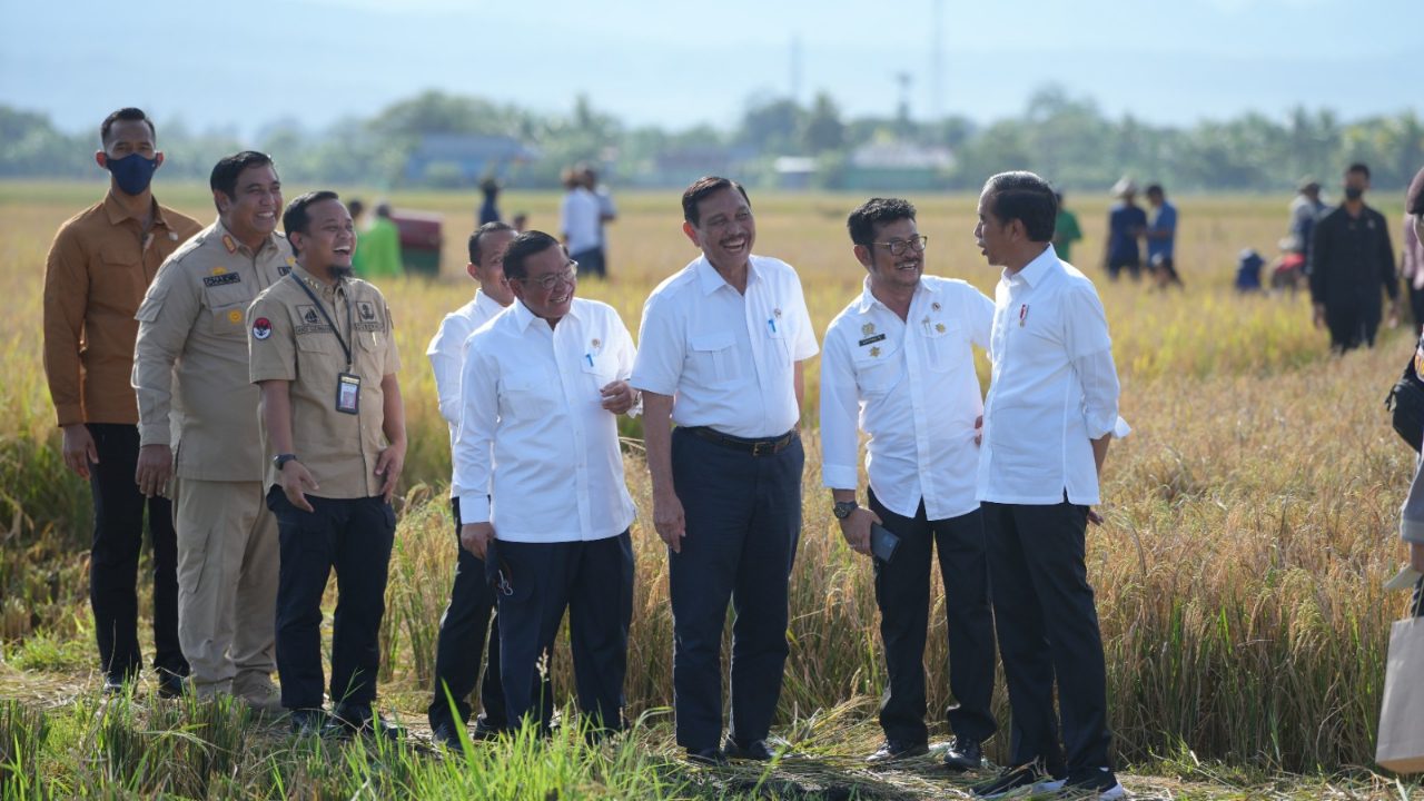 Sulsel Surplus Beras, Jokowi: Segera Distribusikan ke Wilayah Lain