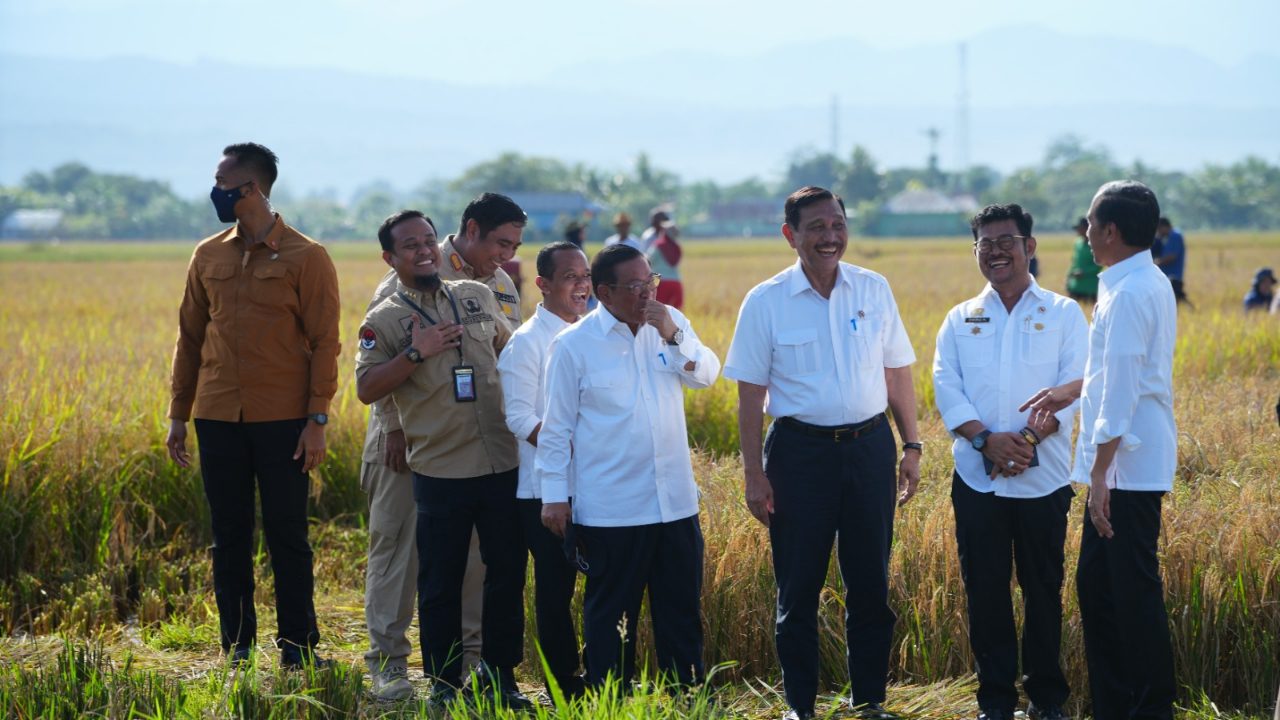 Sulsel Surplus Beras, Jokowi: Segera Distribusikan ke Wilayah Lain