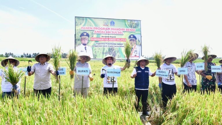 Meningkat Signifikan, Gubernur Andi Sudirman Panen Mandiri Benih di Desa Palakka 1 Meningkat Signifikan, Gubernur Andi Sudirman Panen Mandiri Benih di Desa Palakka