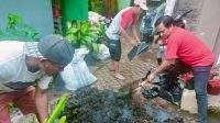 Lurah Melayu Baru Andi Richard Bersama Tomas Giat Menanam 1 Polibeg di Lorong 209