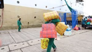 Pelindo Group Siapkan Mudik Gratis Makassar-Palopo & Makassar-Bulukumba, Ini Link Pendaftarannya