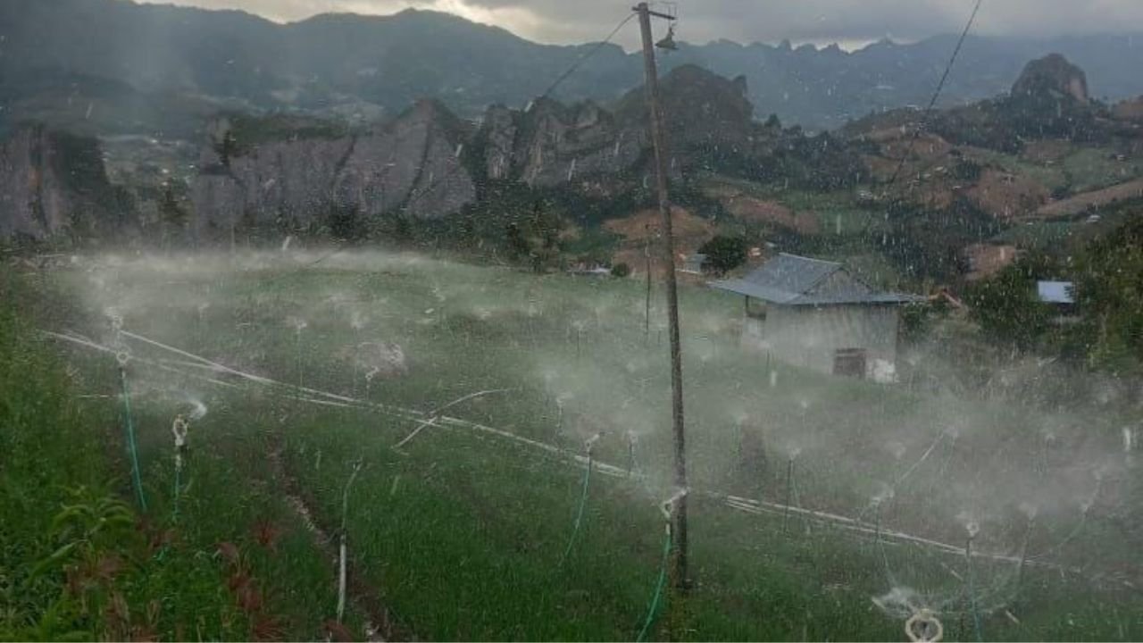 Gunakan Listrik PLN, Petani Bawang Merah di Enrekang Sulsel Hemat Biaya Hingga 75%