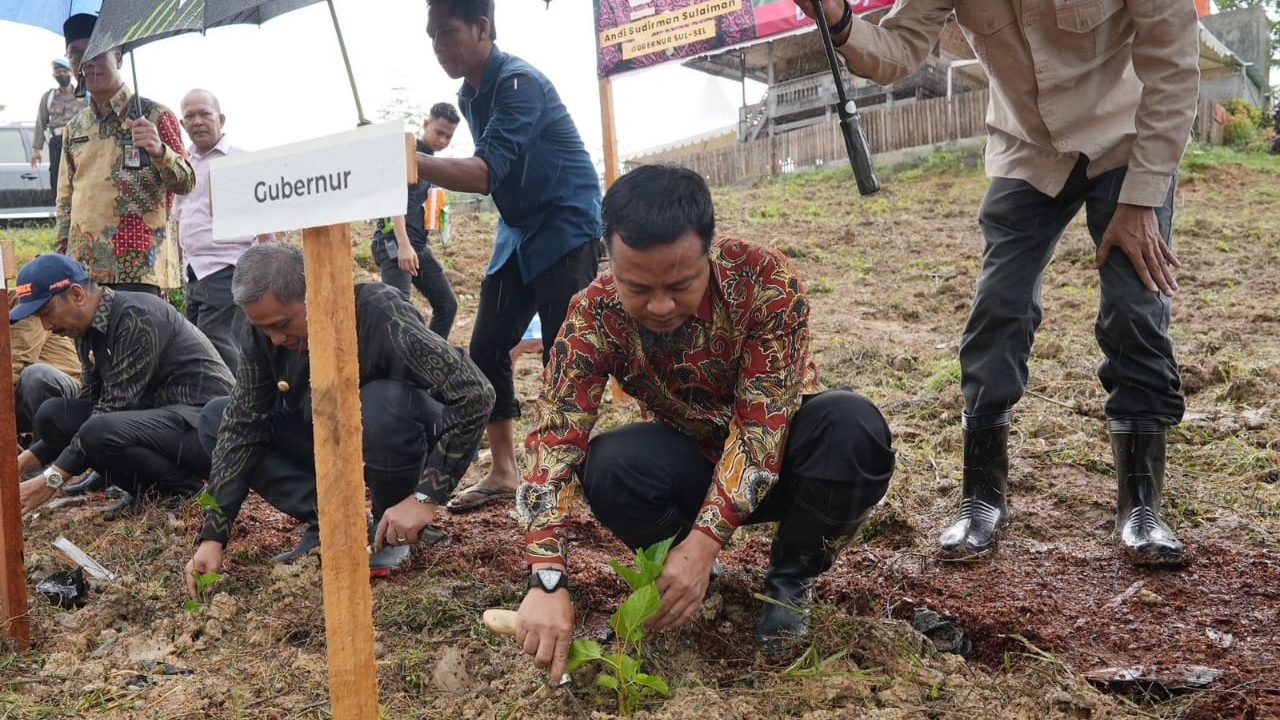 Kembalikan Kejayaan Sutera, Gubernur Andi Sudirman Kembali Tanam 1 Juta Bibit Murbei di Wajo 2 Kembalikan Kejayaan Sutera, Gubernur Andi Sudirman Kembali Tanam 1 Juta Bibit Murbei di Wajo