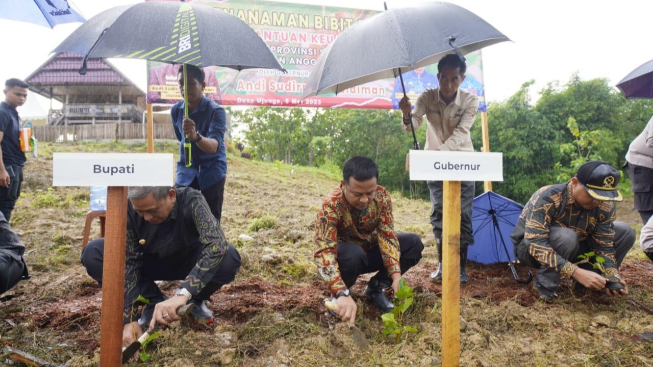Kembalikan Kejayaan Sutera, Gubernur Andi Sudirman Kembali Tanam 1 Juta Bibit Murbei di Wajo