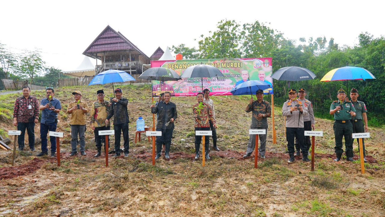 Kembalikan Kejayaan Sutera, Gubernur Andi Sudirman Kembali Tanam 1 Juta Bibit Murbei di Wajo 3 Kembalikan Kejayaan Sutera, Gubernur Andi Sudirman Kembali Tanam 1 Juta Bibit Murbei di Wajo