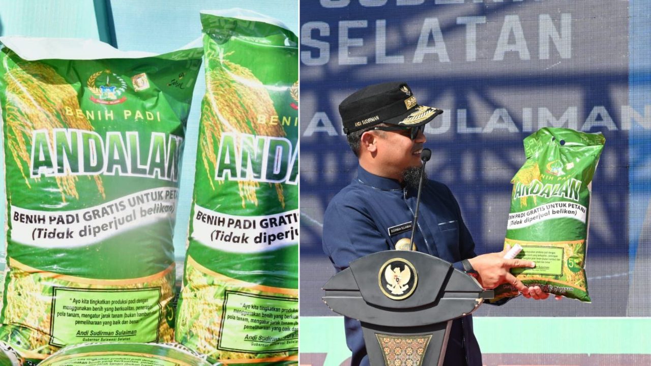 Gubernur Andi Sudirman Lauching Mandiri Benih Tahap 3